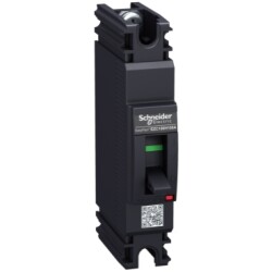 mg ezc100 18ka/240v 1p 60 PPCCB - Schneider Electric