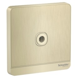 Schneider Electric AvatarOn, fused connection, 25A, 250V, Metal Gold Hairline - Schneider Electric