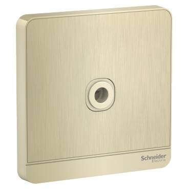 Schneider Electric AvatarOn, fused connection, 25A, 250V, Metal Gold Hairline - 1