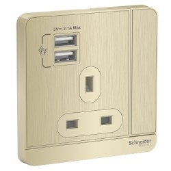 Schneider Electric AvatarOn Metal Gold Hairline, Switch Socket + 2 USB Chargers, E8315USB_GH_G12 (3P, 13A, 250 V) - Schneider Electric