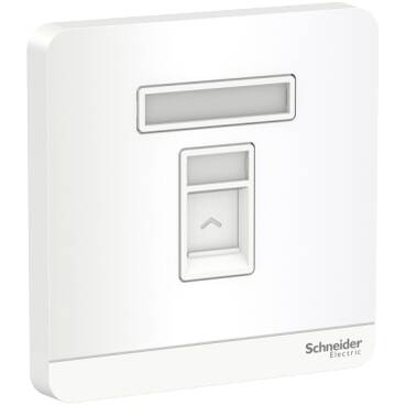 Schneider Electric AvatarOn Wood Keystone Wall Plate RJ45, E8331RJS_WD - 1