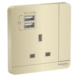 Schneider Electric E8315USB_WG_G12 AvatarOn Gold - Single 13A Socket combined 2 x USB ports 2.1 A - Schneider Electric