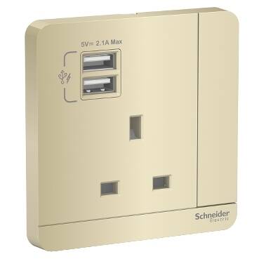 Schneider Electric E8315USB_WG_G12 AvatarOn Gold - Single 13A Socket combined 2 x USB ports 2.1 A - 1