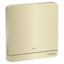 Schneider Electric E8331D45N_WG AvatarOn Gold- 45A 250V Double Pole Switch with Neon/Cooker control/Water Heater - Schneider Electric