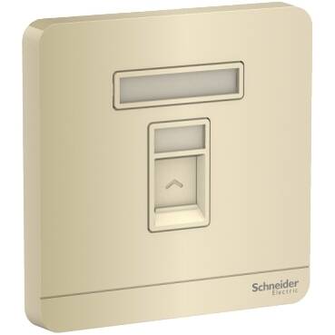 Schneider Electric E8331RJS_WG AvatarOn Gold - 1 Gang Keystone Wallplate with Shutter without Ketstone Jack RJ-45 - 1